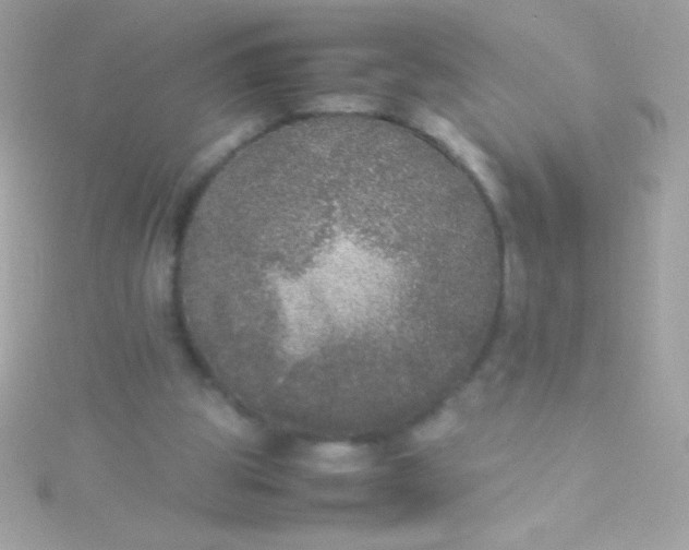 X0000115740153200911252007