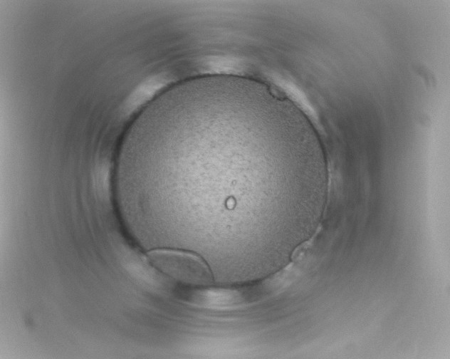 X0000115740154200911252007