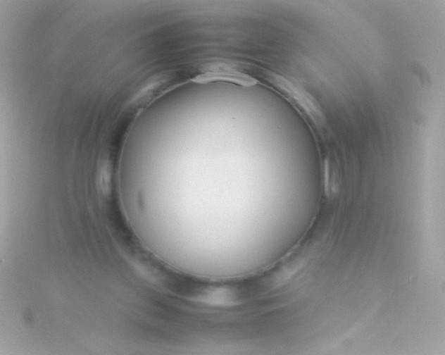 X0000115740157200911252007