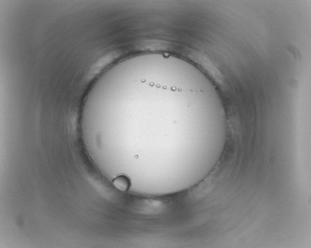 X0000115740159200911252007