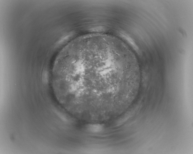 X0000115740161200911252007