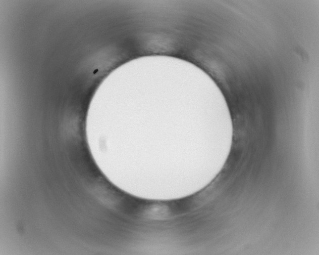 X0000115740162200911252007