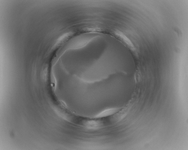 X0000115740163200911252007