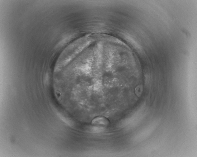 X0000115740165200911252007