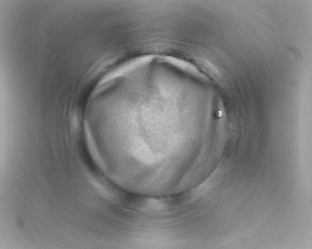 X0000115740166200911252007