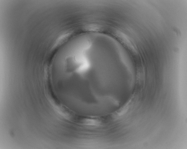 X0000115740167200911252007