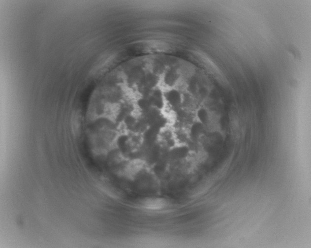 X0000115740169200911252007