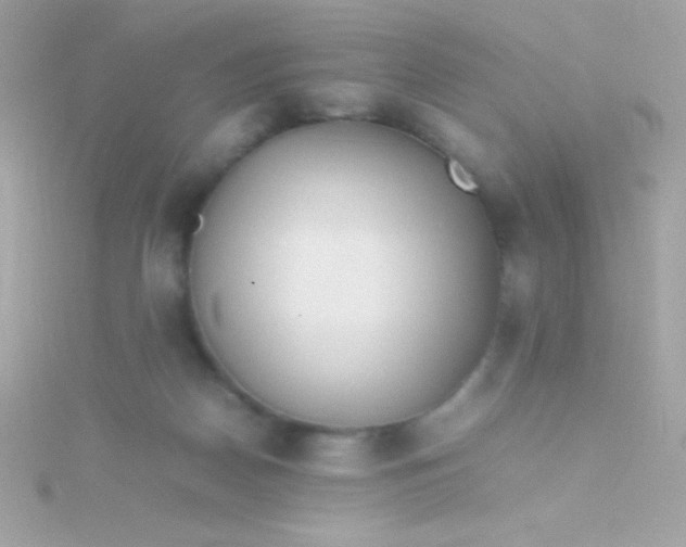 X0000115740170200911252007