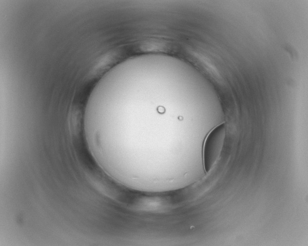 X0000115740171200911252007