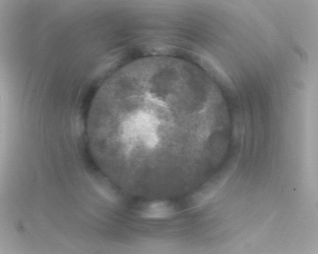 X0000115740173200911252007