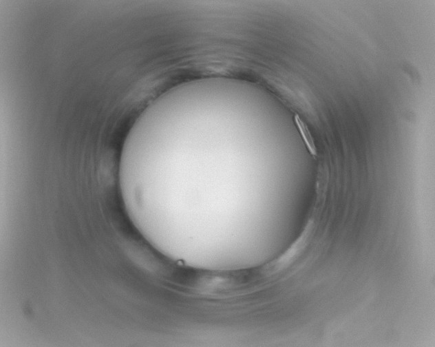 X0000115740174200911252007