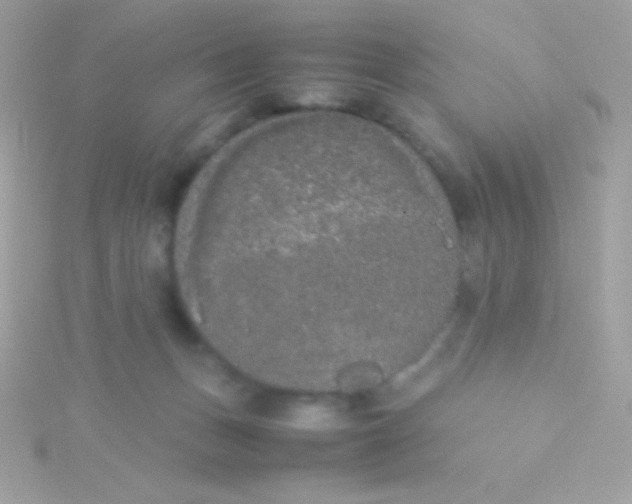 X0000115740175200911252007