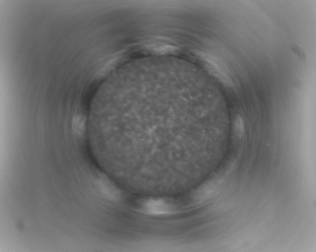 X0000115740177200911252007