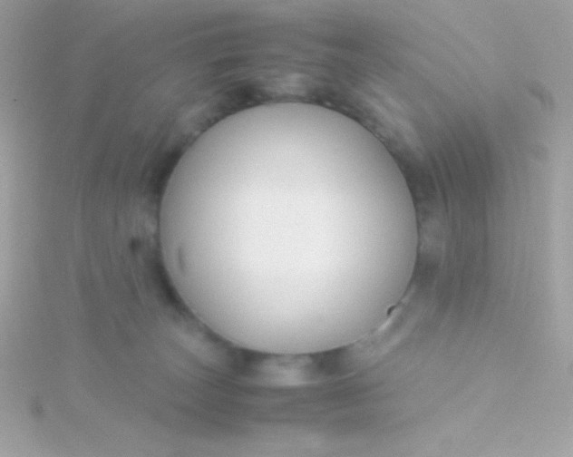 X0000115740179200911252007