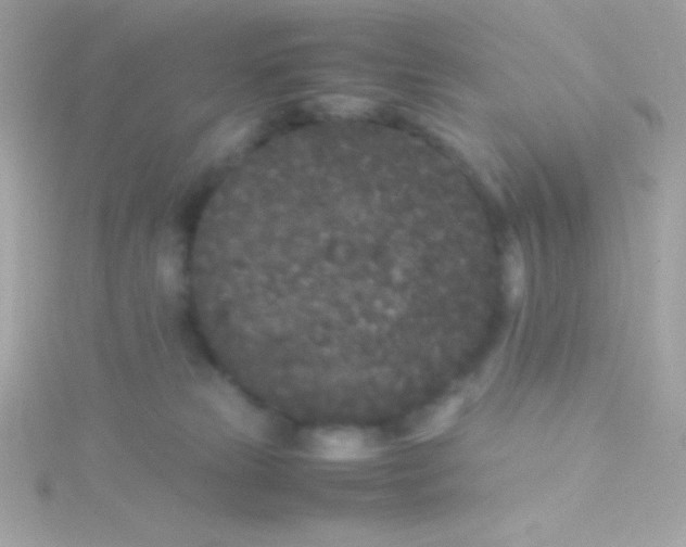 X0000115740181200911252007