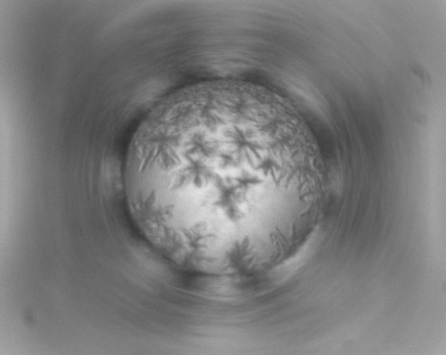 X0000115740182200911252007