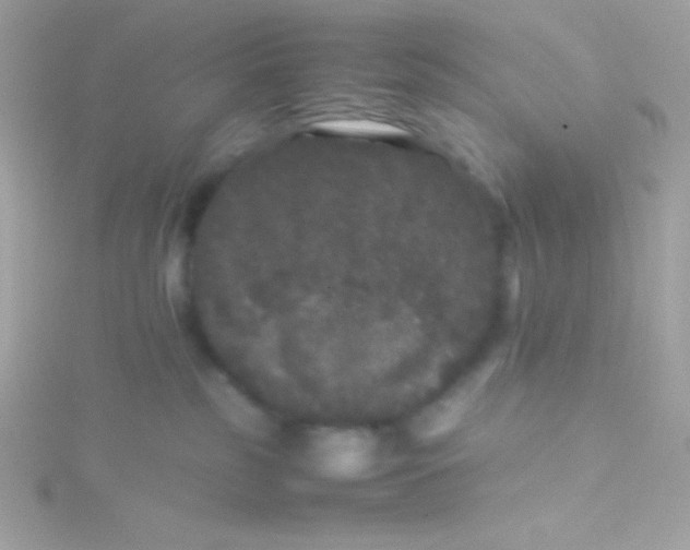 X0000115740185200911252007