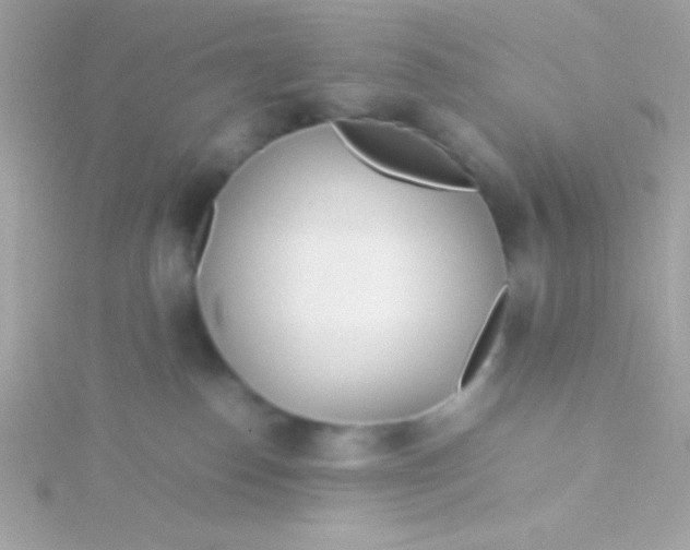 X0000115740186200911252007