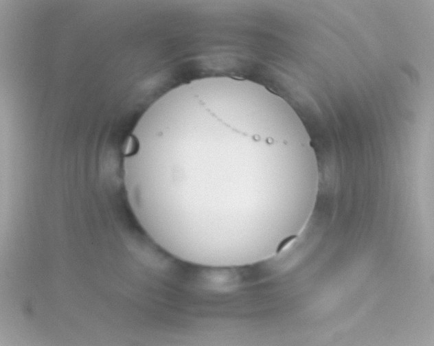 X0000115740187200911252007