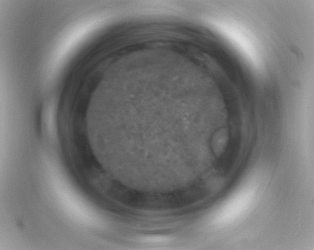 X0000115740189200911252007