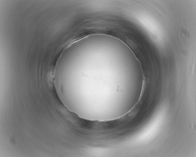 X0000115740190200911252008