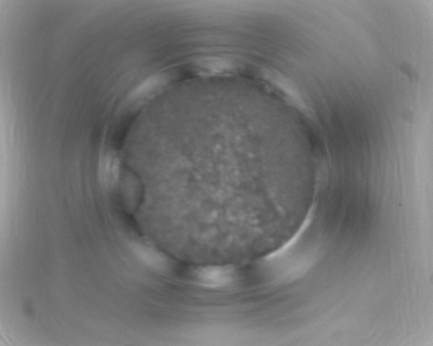 X0000115740191200911252008