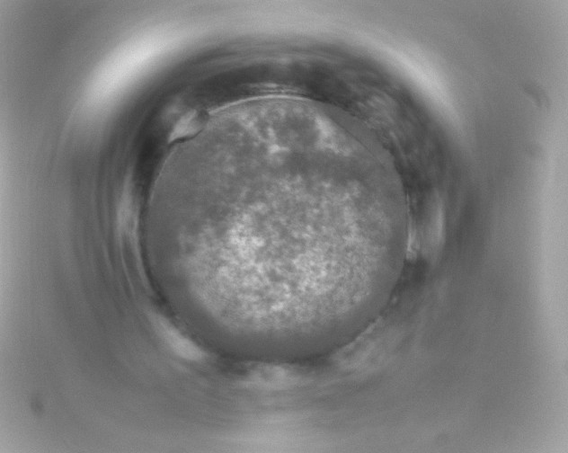 X0000115740195200911252007