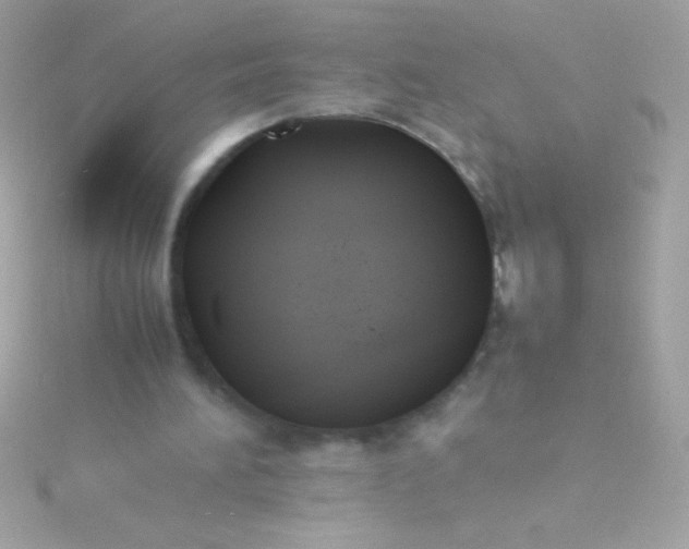 X0000115740196200911252007