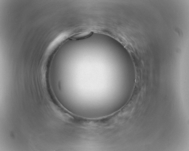 X0000115740197200911252007