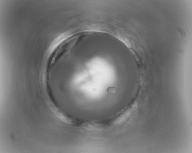 X0000115740199200911252007