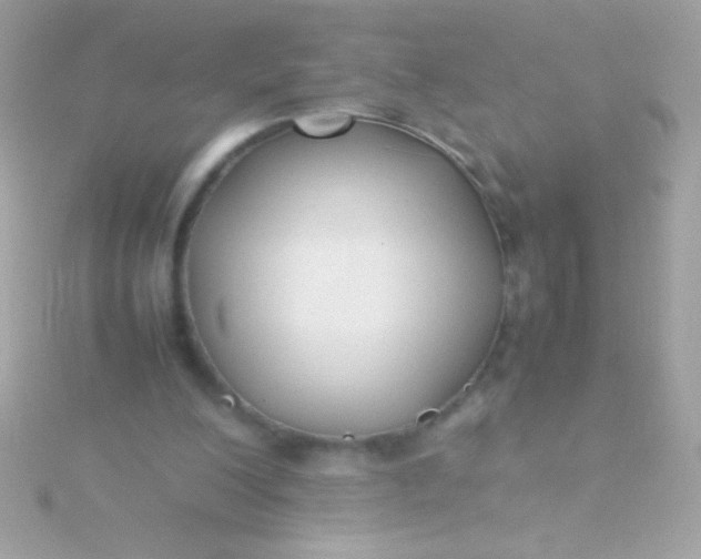 X0000115740200200911252007