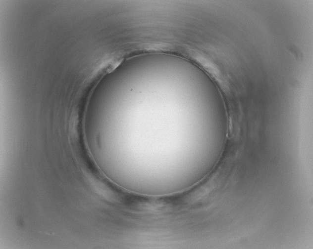 X0000115740201200911252007