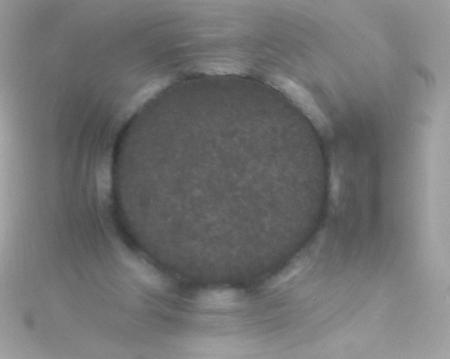 X0000115740202200911252007