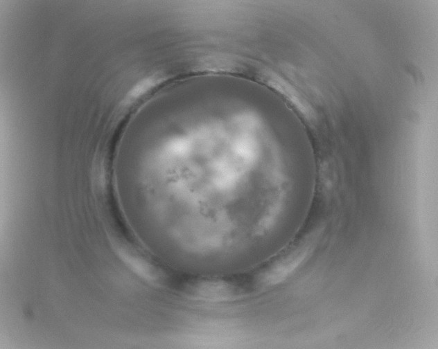 X0000115740203200911252007