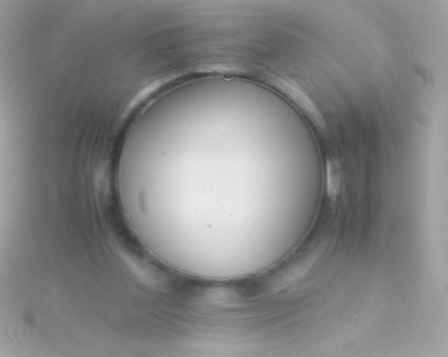 X0000115740204200911252007