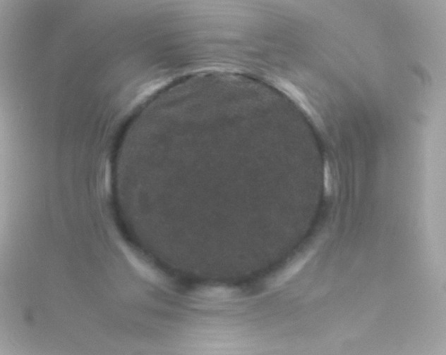 X0000115740205200911252007