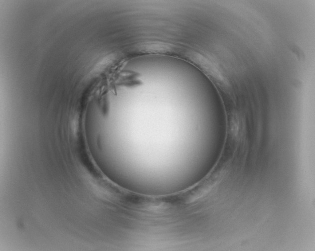 X0000115740206200911252007