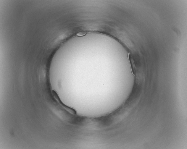 X0000115740207200911252007