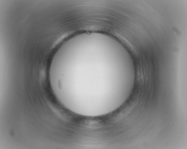 X0000115740208200911252007