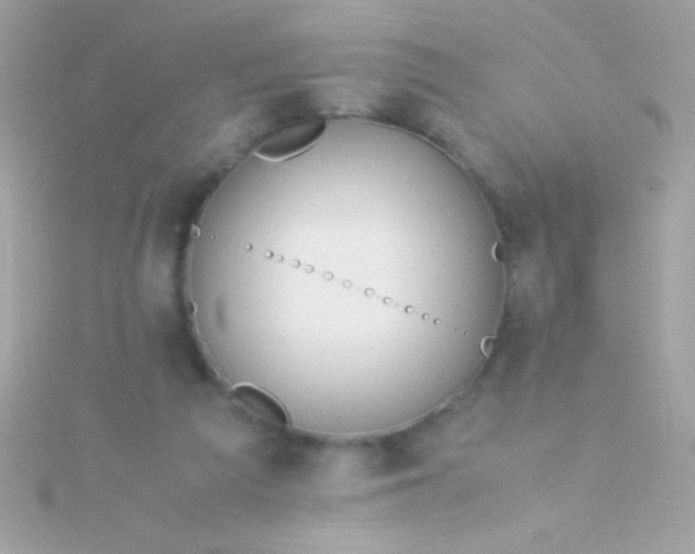 X0000115740209200911252007