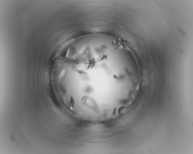 X0000115740210200911252007