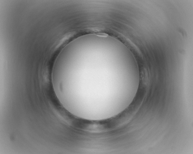 X0000115740212200911252007