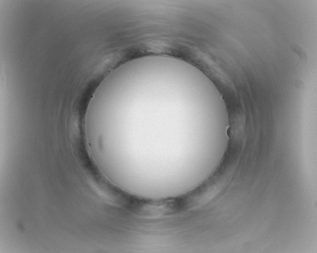 X0000115740213200911252007