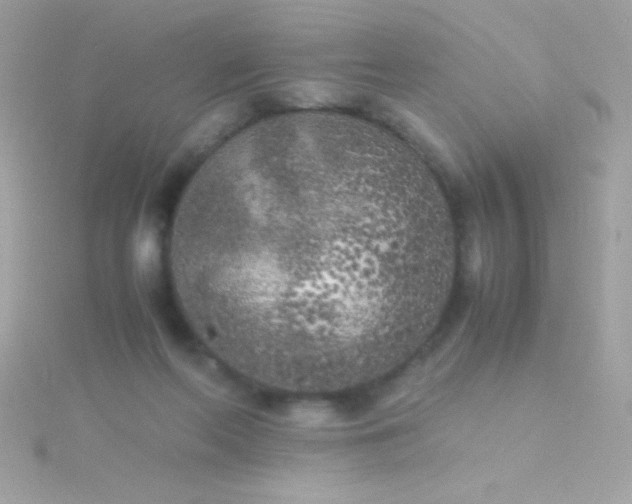 X0000115740214200911252007