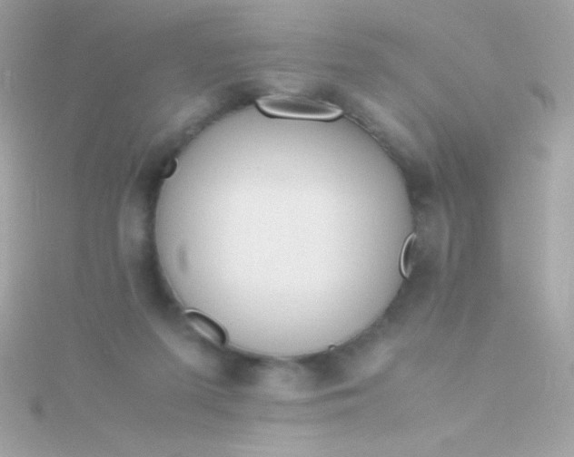 X0000115740215200911252007