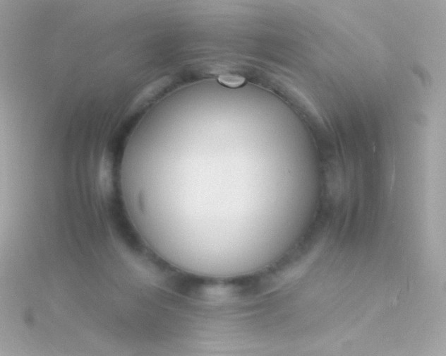 X0000115740216200911252007