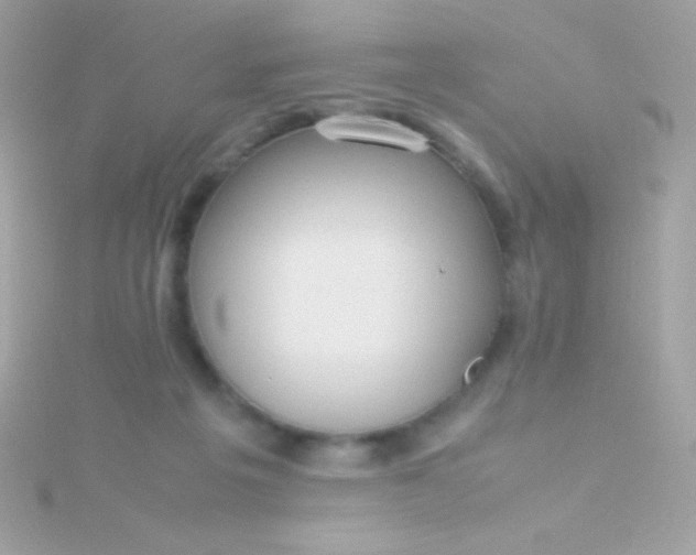 X0000115740217200911252007