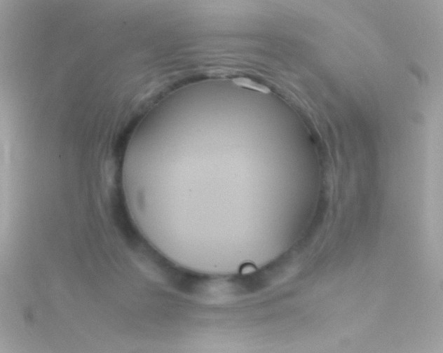 X0000115740219200911252007