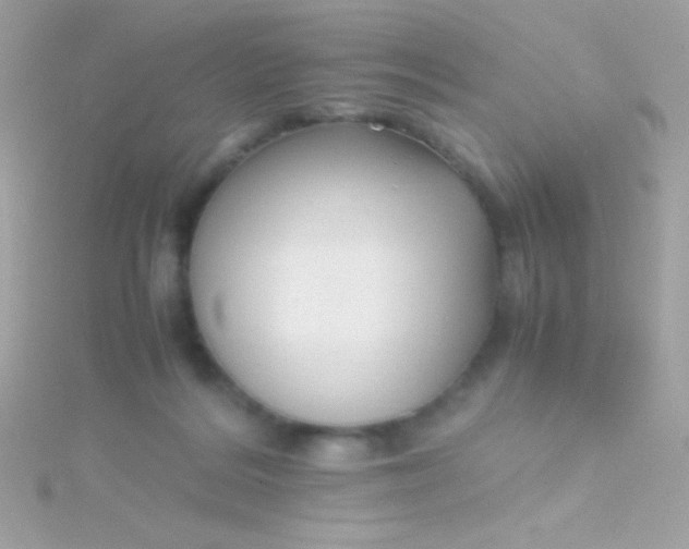 X0000115740220200911252007