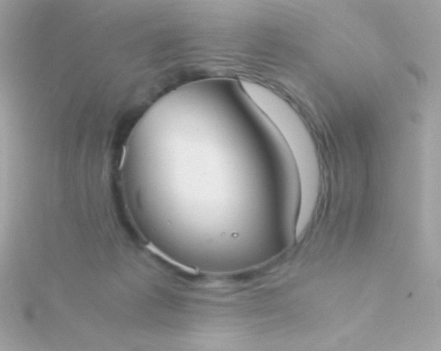 X0000115740221200911252007